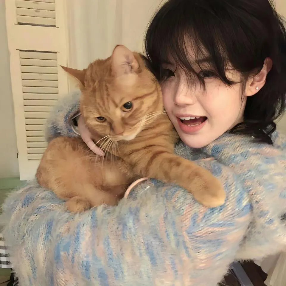 献给检察官的玫瑰花